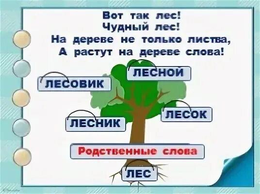 Однокоренные слова к слову лес