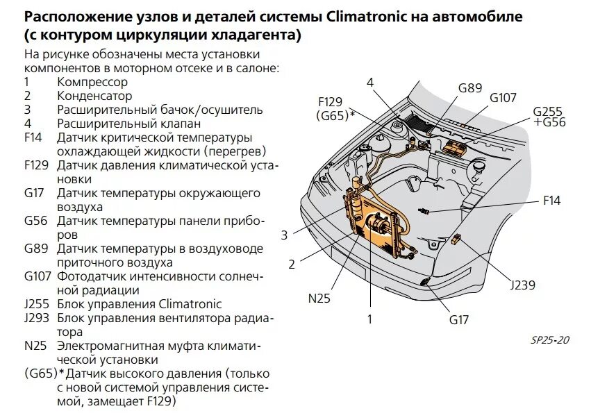 Название деталей капота. Схема моторного отсека Skoda Octavia. Схема капота Шкода а5.