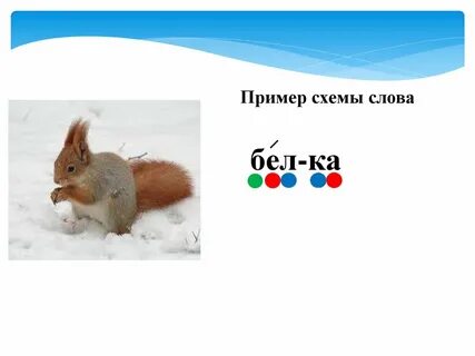 Белка схема слова цветная