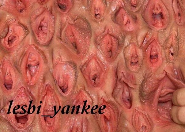 Много Голых Вагин