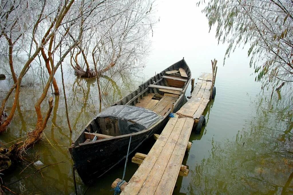 Вилково одесская. Вилково Дунай. Вилково Одесская область. Вилково украинская Венеция. Украинская Венеция в Одесской области.