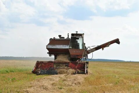 Заманилки курганская область
