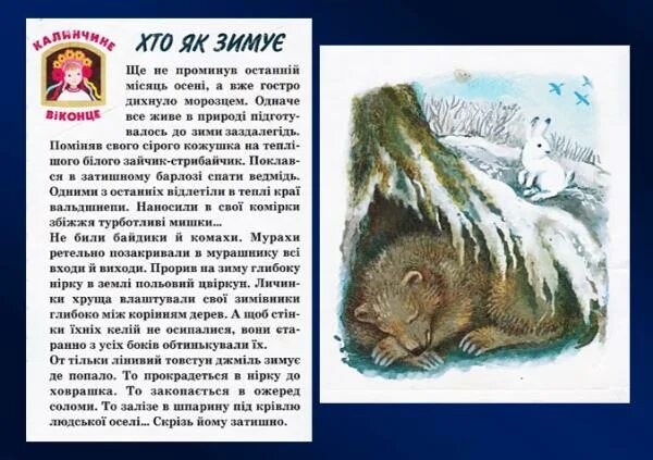 хто як зімуе генадзь аўласенка. павучок гена. звери в лесу зимой для дошкольников. хто як зімуе генадзь аўласенка. берлога медведя.