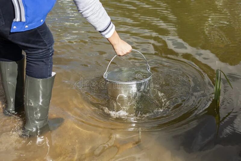 Черпает воду из водоема. Почерпнуть воды воды. Воруют воду из пруда ведрами. Пруд в ведре. Воду из реки ведром