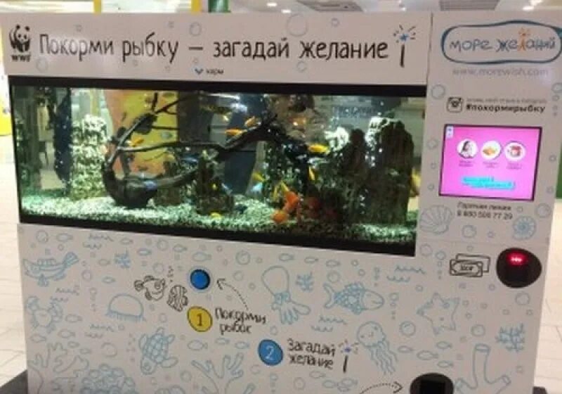 Покорми рыбку загадай желание. Море желаний аквариум. Покорми рыбку загадай желание. Аквариум покорми рыбок. Аквариум покорми рыбку загадай.