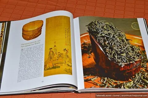 Книга измененные 4
