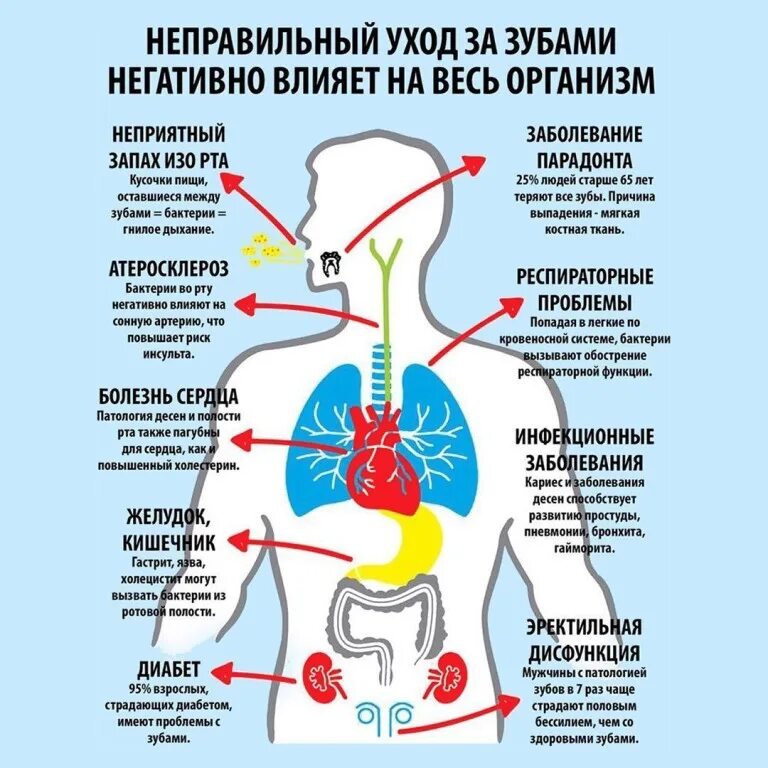 Заболевания всех органов. Заболевания органов человека. Как зубы влияют на здоровье. Заболевания по системам органов. Взаимосвязь систем органов в организме человека