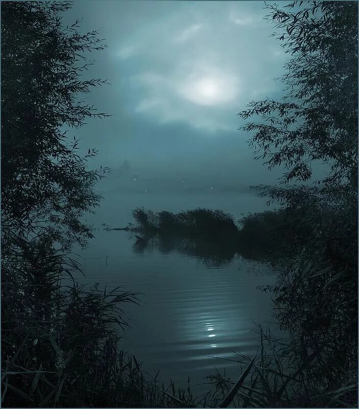 Ночная тишь. Туманное озеро ночью. Ночь и тишина. Месяц в озере.