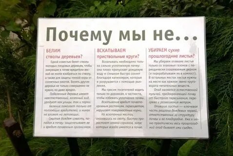 Что делать с прошлогодними листьями весной