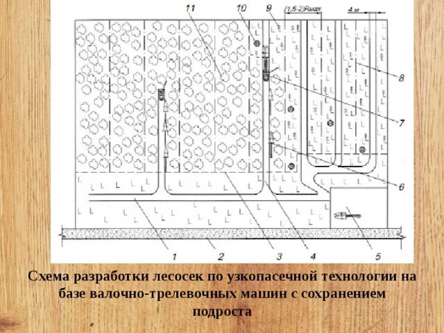 Схема разработки лесосеки Харвестером. Узкопасечная технология разработки лесосеки. Схема разработки лесосек продольно-ленточным методом. Схема разработки лесосеки валочно-пакетирующей машины. Сохранение подроста