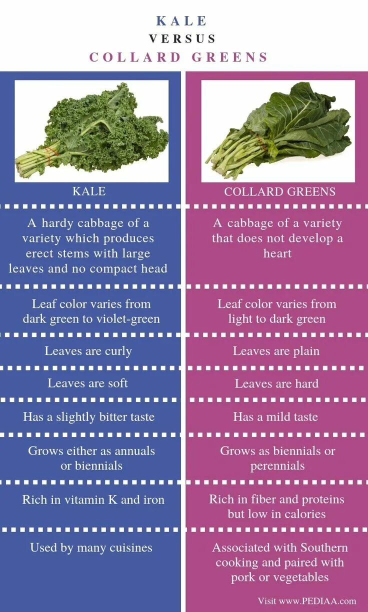 Kale и Cabbage чем отличается. Collard Greens текст. Collard Greens нар. Листовая капуста Коллард. Kale перевод