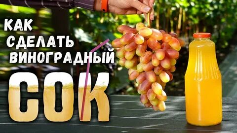 Поставь виноград