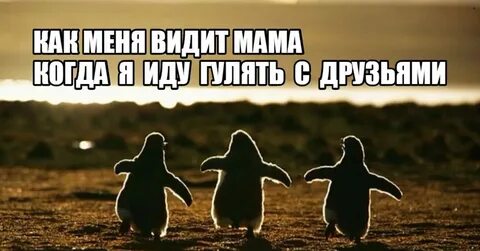 Давай пойдем на прогулку