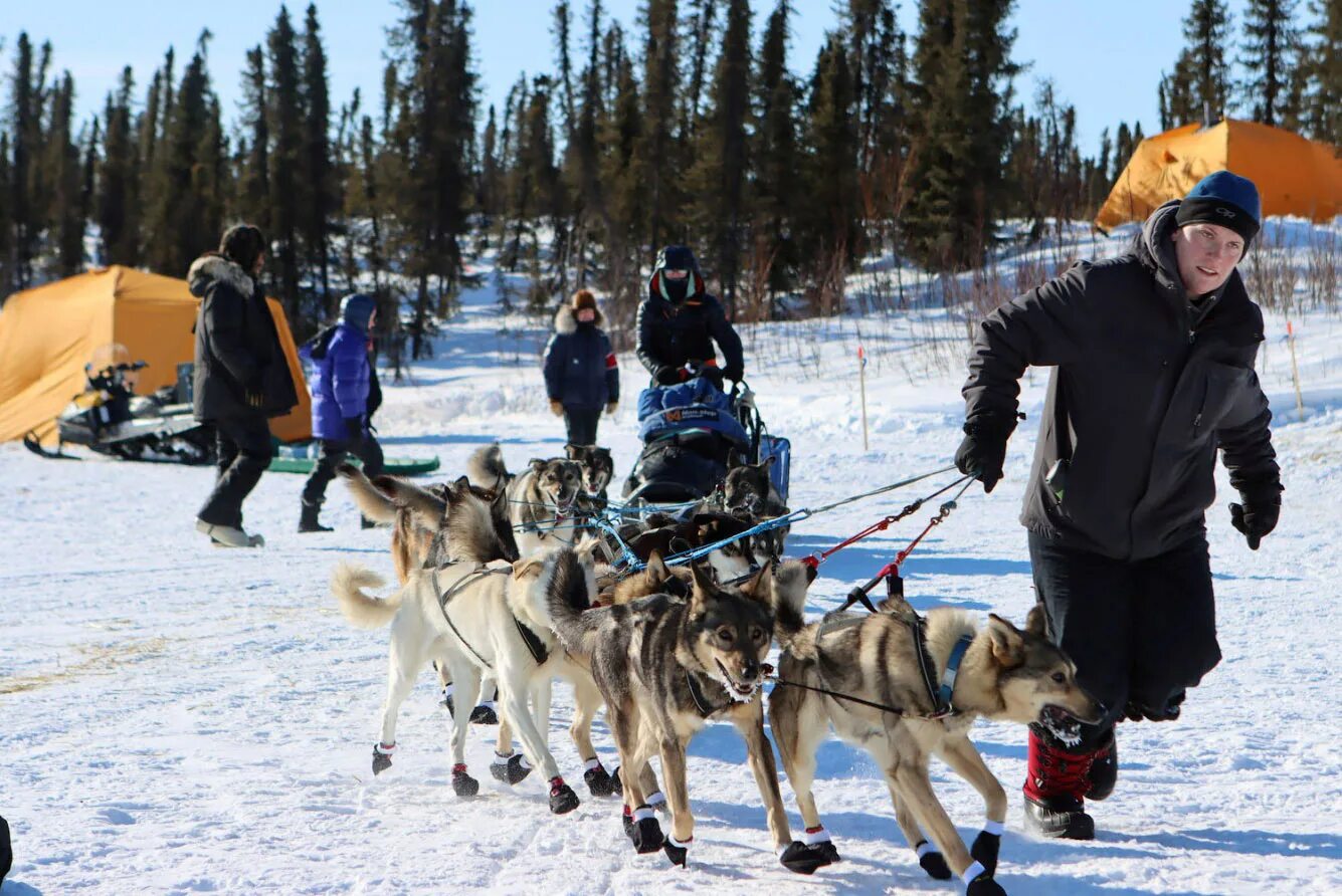 Аляска Айдитарод. Гонки на собачьих упряжках на Аляске. Iditarod Trail Sled Dog Race. Айдитарод 2023 год. Гонка аляска