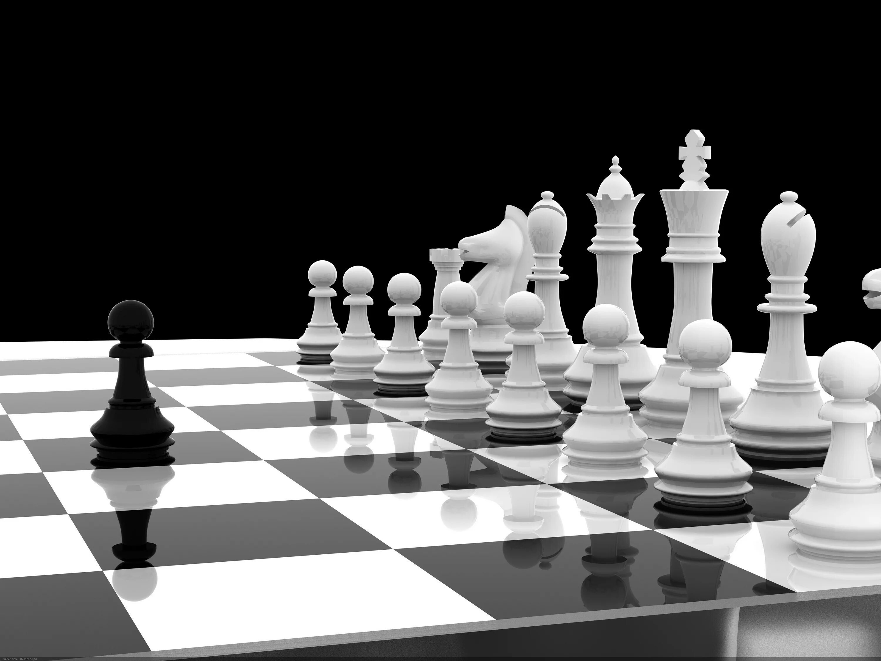 White chess
