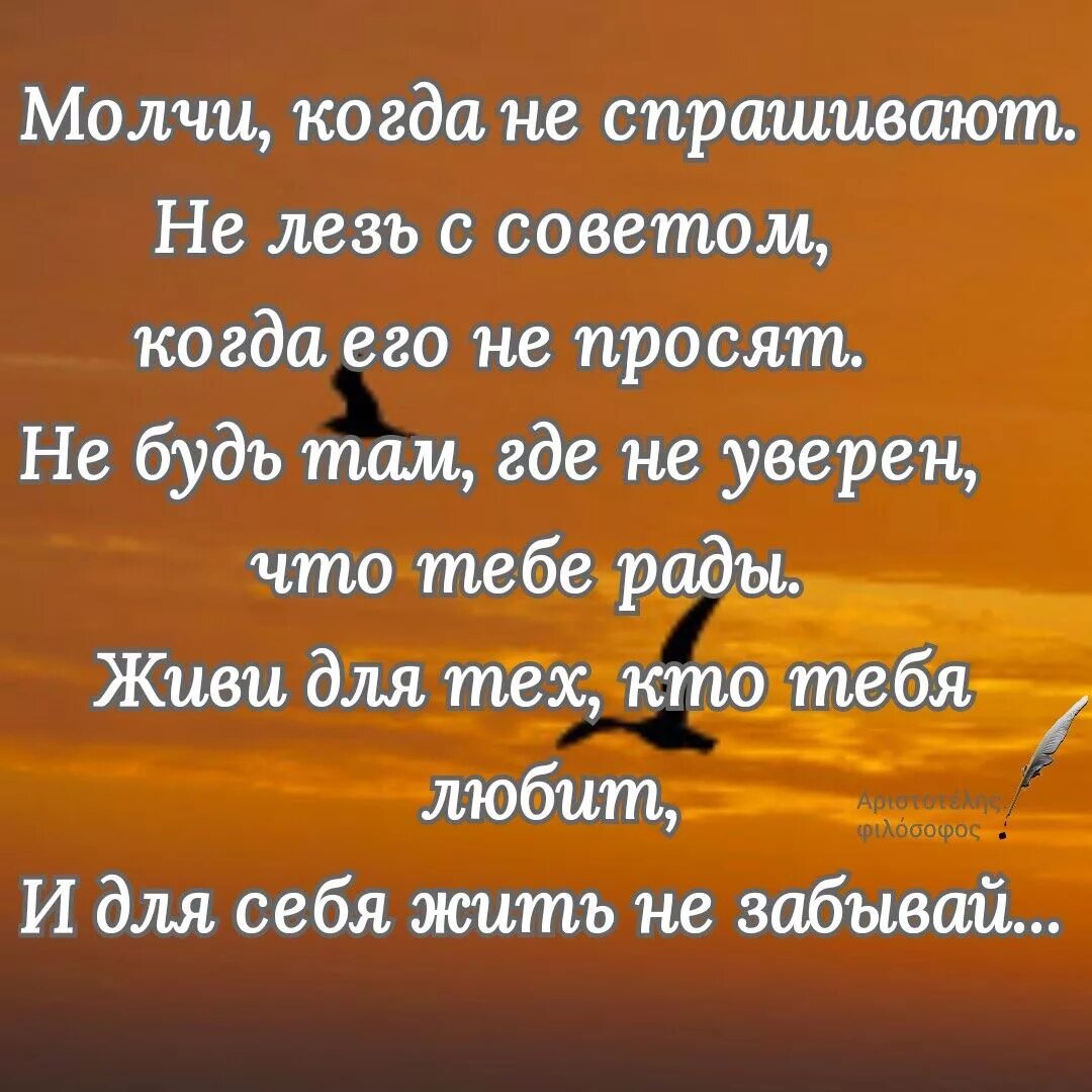 Стихи о жизни. Мудрые притчи. Стихи о жизни со смыслом. Красивые стихи о жизни.