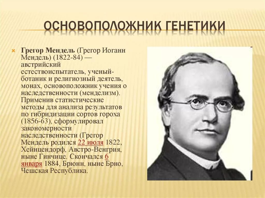 Фамилии генетика. Ученые основоположники генетики. Генетики Грегор Мендель. Мендель основоположник генетики. Мендель - основоположник науки генетики..