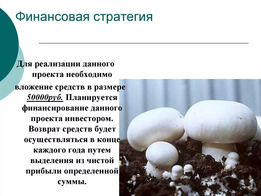 Почему выращивают шампиньоны