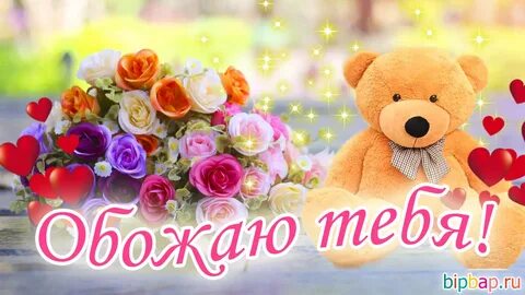 Я тебя обожаю хорошего дня