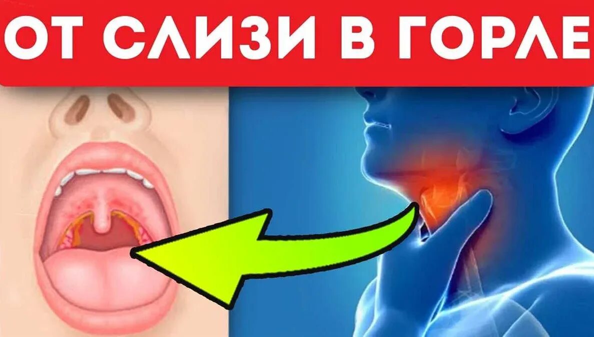 Почему мокрота в горле