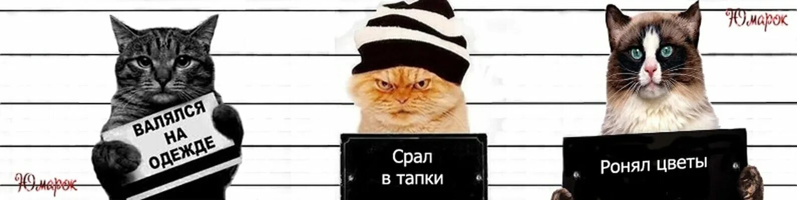 Тапком или тапкой как правильно