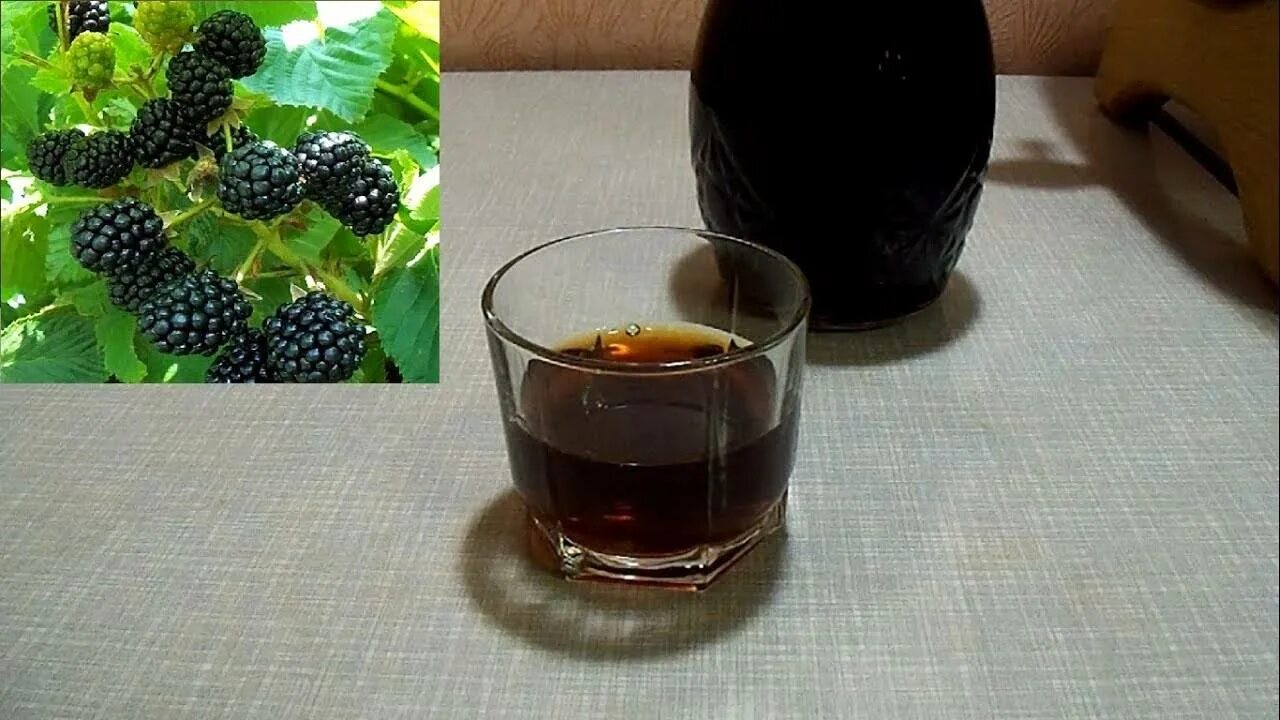 Корица в самогон. Настойка на шелковице на самогоне. Армянский самогон тутовый. Настойка на шелковице на самогоне. Яблочная настойка на самогоне.