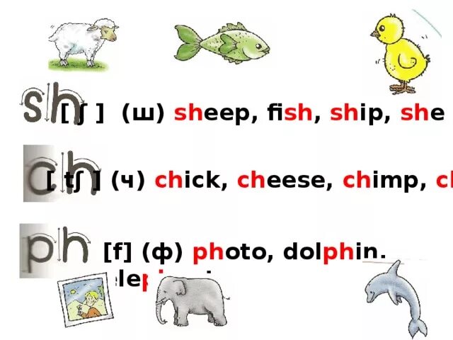 Чтение спотлайт 2. Беаосочетание sh в английском. Буквосочетания sh Ch PH th. Буквосочетания sh Ch в английском языке. Чтение буквосочетаний Ch sh th в английском.