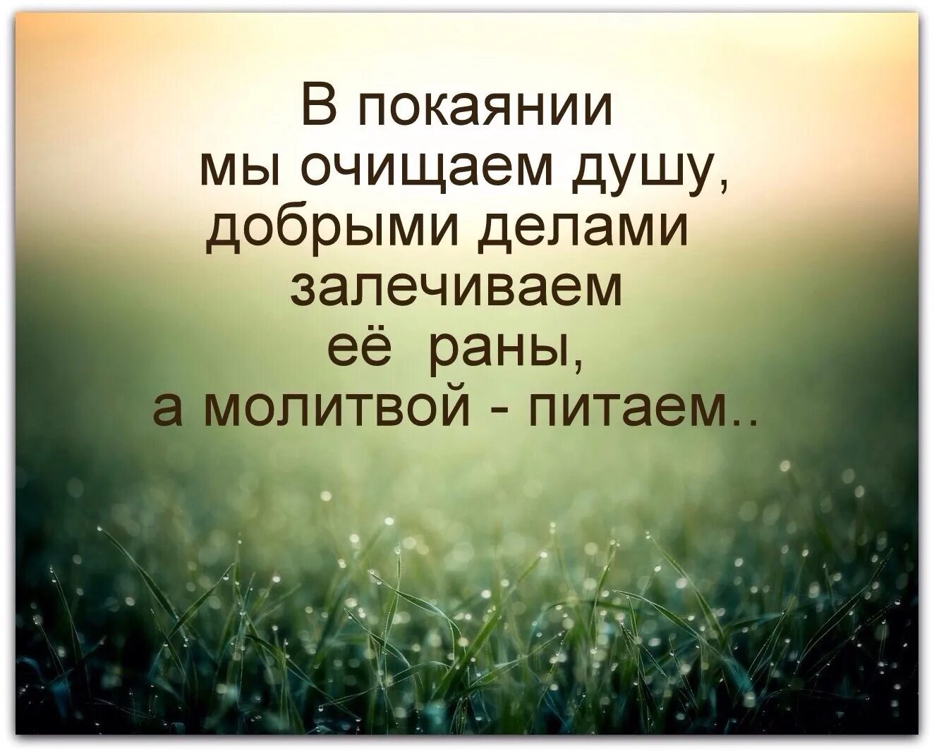 Душа чистая доска. Мудрые высказывания. Христианские высказывания. Мудрые христианские высказывания. Мудрость Христианская.