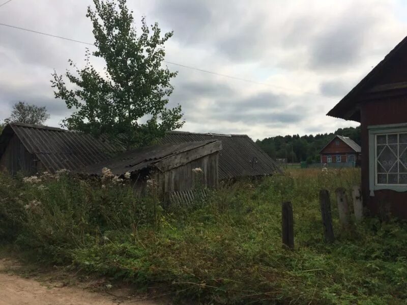 Поддубье псковской области псковский район погода