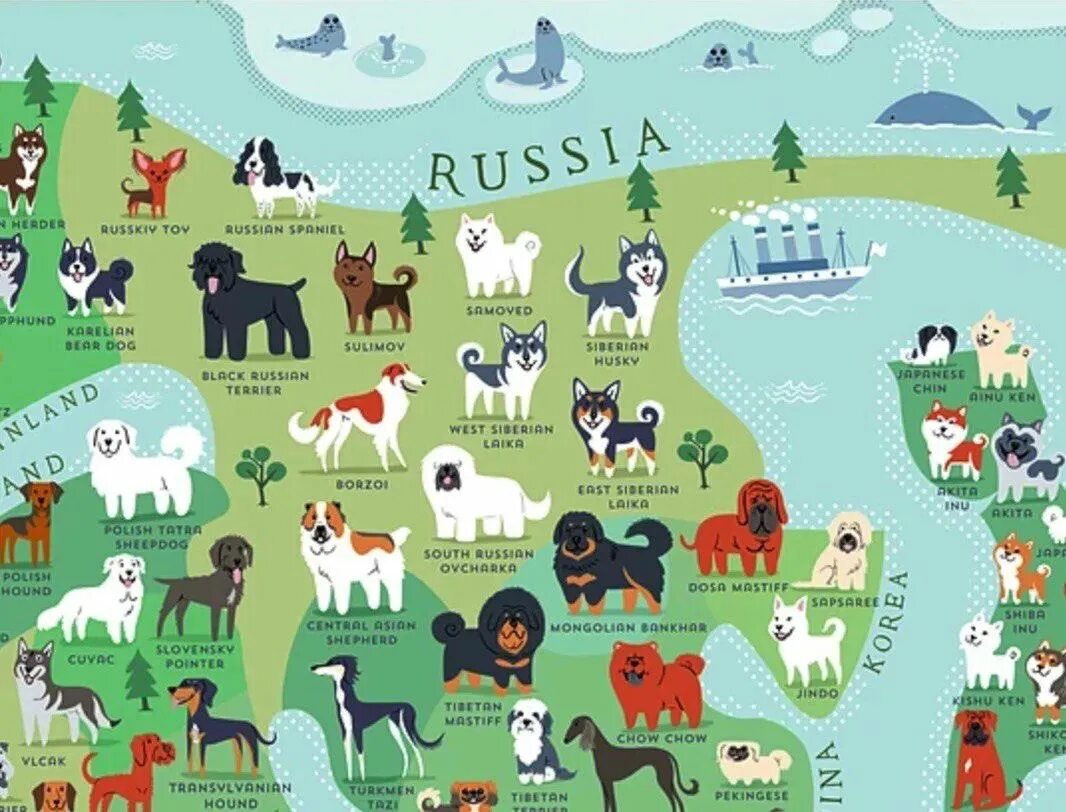 Породы собак стран. Собаки в разных странах. Страна собак. Карта пород собак. Породы кошек и собак по странам.