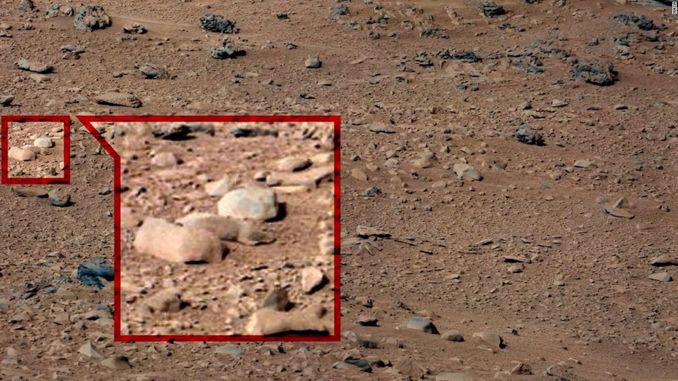Марс снимки НАСА реальные снимки. Марс Планета жизнь. Марс есть ли жизнь на Марсе. Жизнь на Марсе доказательства.