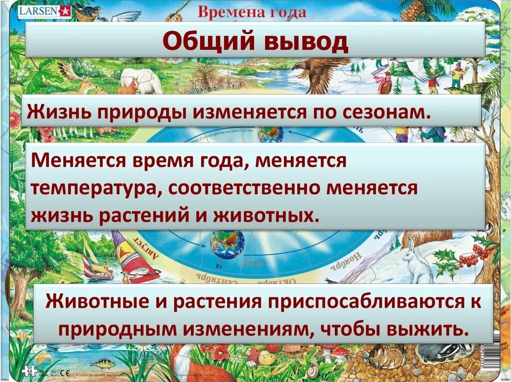 Влияние человека на смену года. Сезонные изменения растений и животных. Сезонные изменения в жизни растений и животных. Сезонные изменения у животных в природе. Сезонные изменения в природе вывод.