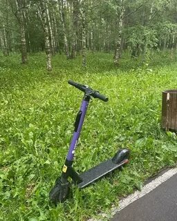 Самокаты можно оставлять в любом месте