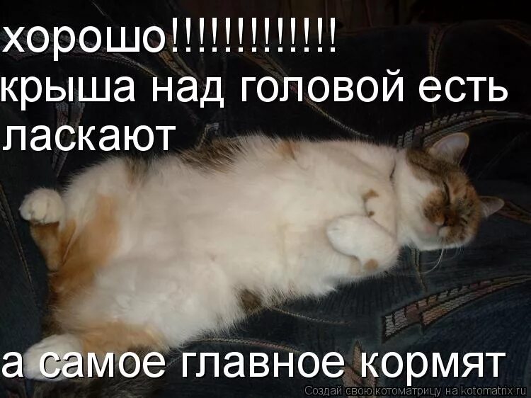 На крыше. День крыши над головой картинки. Девушка сидит на крышы. Девушка на крыше дома. Девочка на крыше.