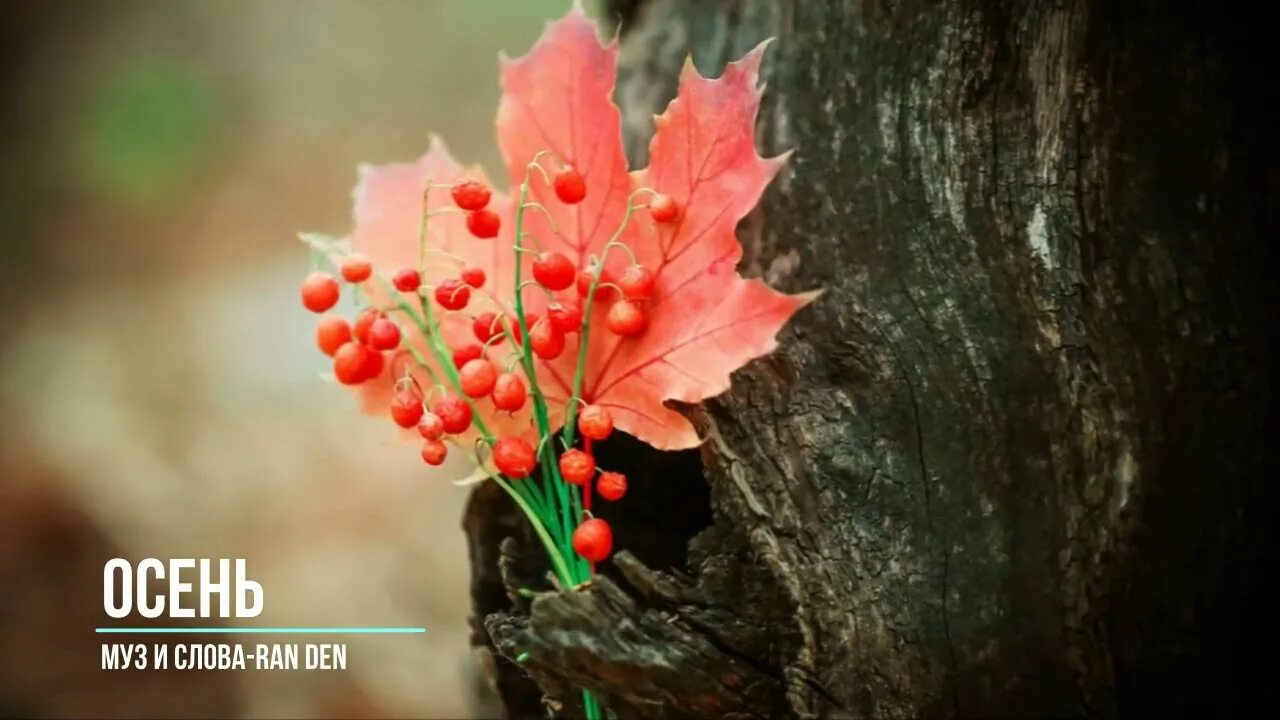 Осенью листья как цветы. Осенние растения. осенние цветы. осень фото на рабочий стол. осенние цветы фото.
