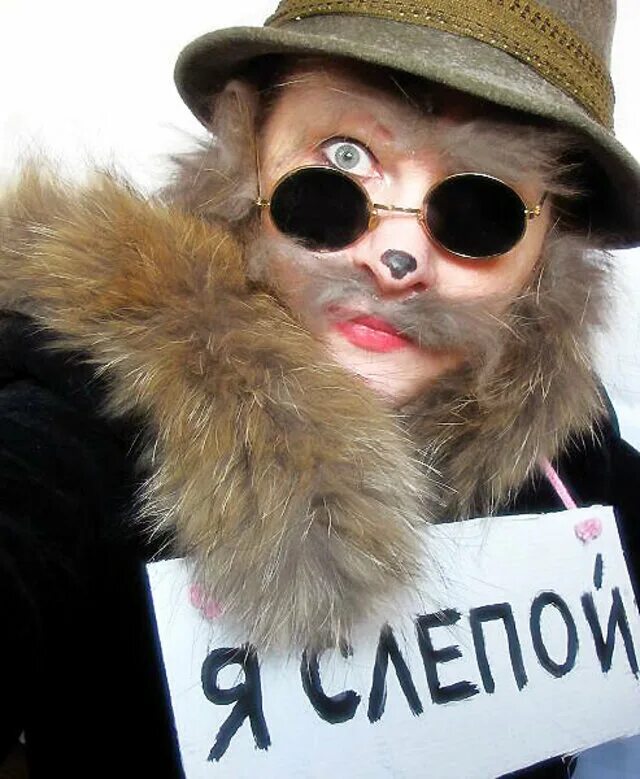 Какой кот базилио. Кот базилио. слепой базилио. кот базилио фото. кот базилио в очках.