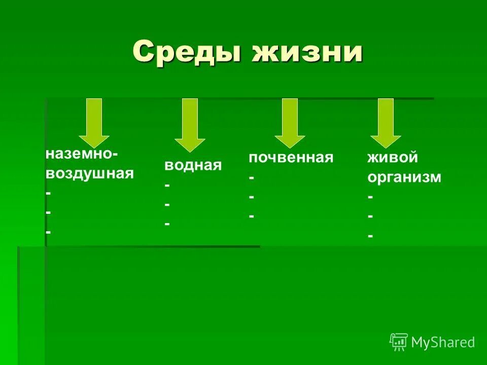 Жизненная среда общества