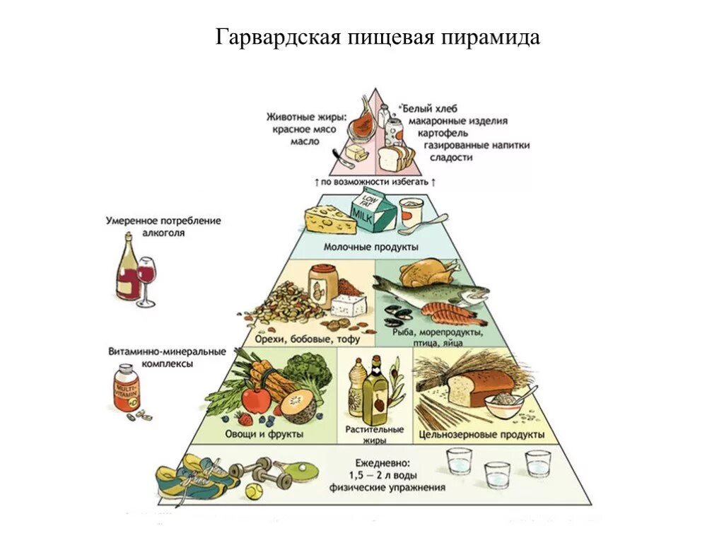 Укажите уровни пищевой пирамиды начиная с продуктов. Пирамида рационального питания схема. Пищевая пирамида здорового питания Гарвардская. Пирамида питания здорового человека. Пирамида здорового питания в картинках.