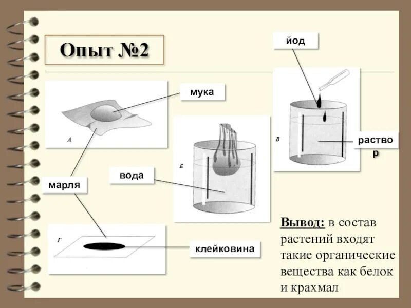 Йод на муку. Опыт по биологии 5 класс. Опыт обнаружение белка. Опыт обнаружение органических веществ в растениях. Обнаружение органических и Минеральных веществ в семенах.