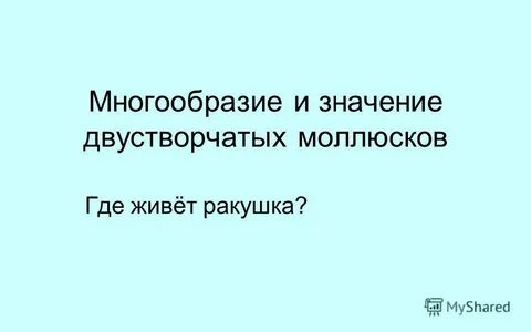 Значение двустворчатых моллюсков в жизни человека