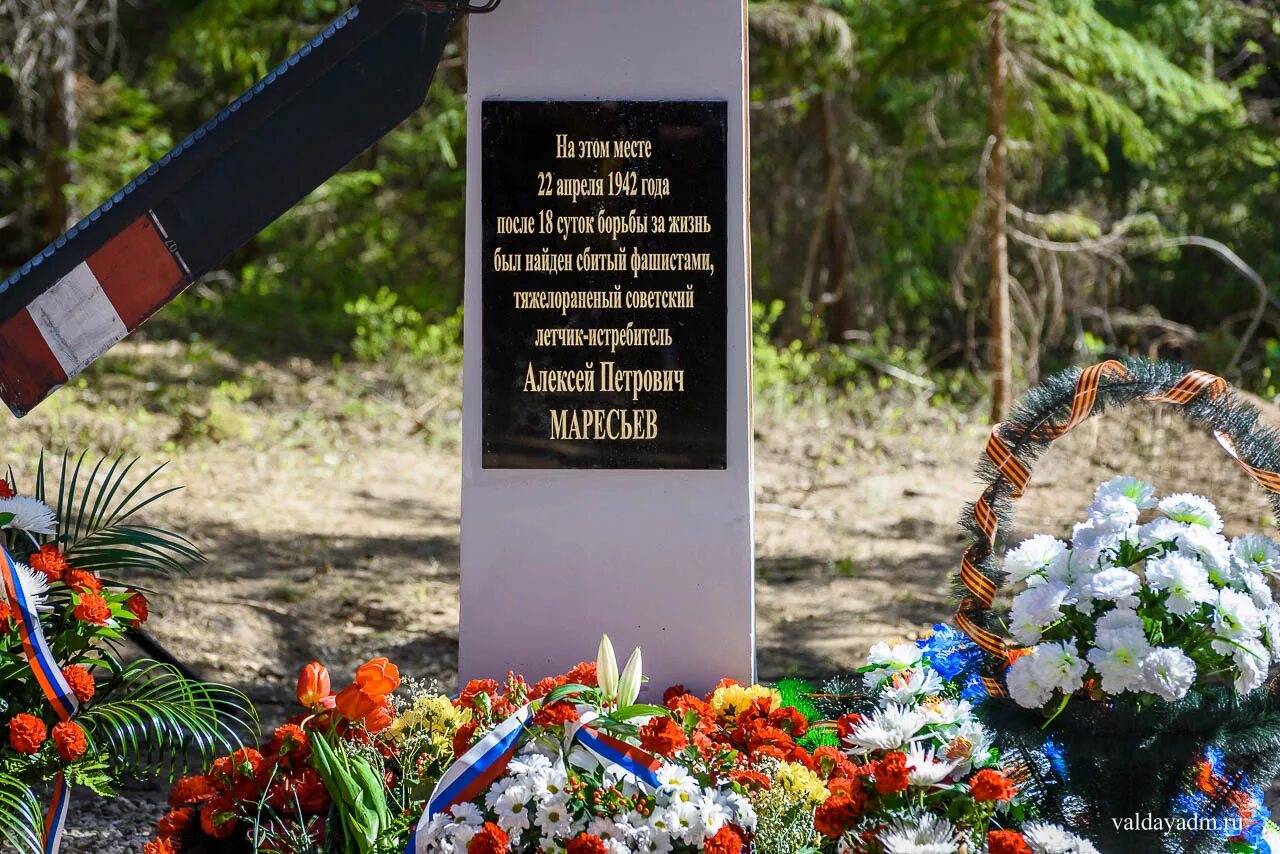 Деревня плав маресьев. Могила летчика маресьева. Бюст маресьева в комсомольске-на-амуре. Маресьев. Алексея маресьева.