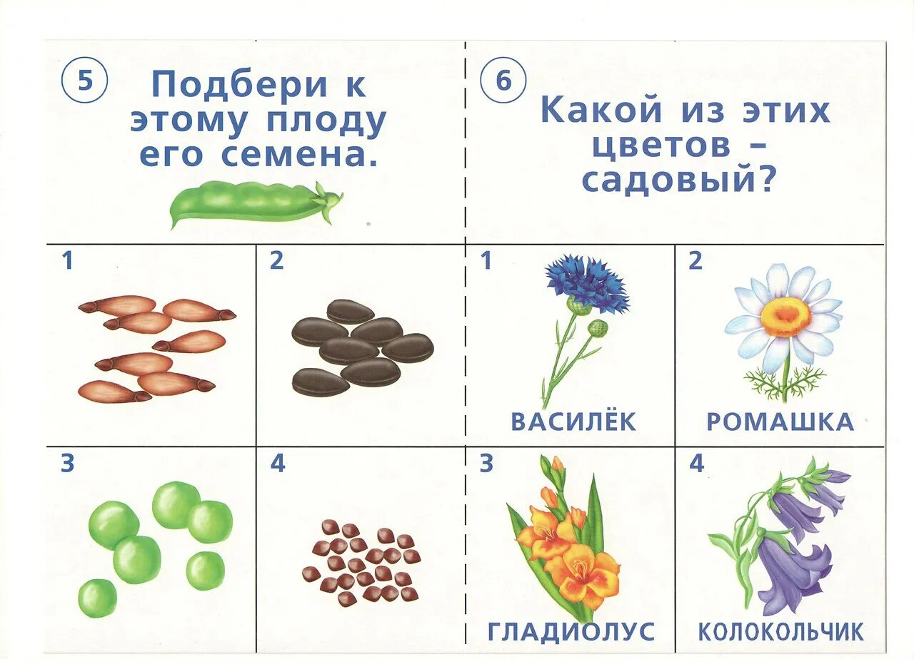 Задание для дошкольников по ознакомлению с. Карточки с заданиями. Дидактические задания для дошкольников. Окружающий мир задания для дошкольников. Развивающая игра окружающий мир