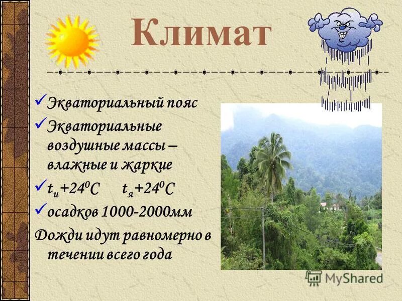 дома во влажном климате. очень влажный климат. тропический дождевой лес. влажный климат картинки. очень влажный климат.