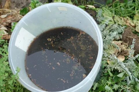 Pull Up a Chair, It's Time for Compost Tea! 