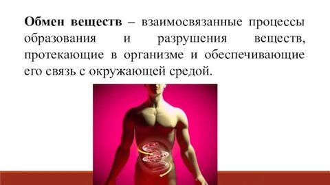 Процесс в организме протекающий