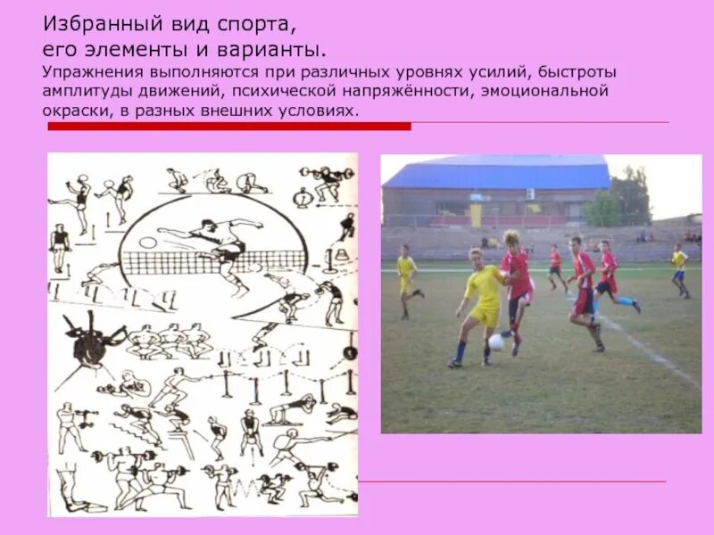 Избранный вид спорта