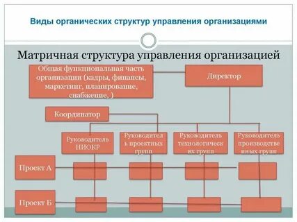Организационная структура управляющей компании