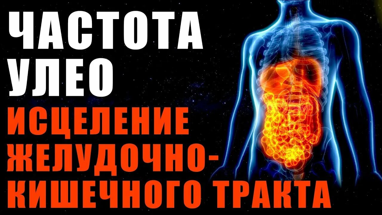 Исцеление желудка. Исцеление ЖКТ. Медитация для ЖКТ исцеления. Программа исцеления ЖКТ. Матрица Гаряева исцеление ЖКТ.