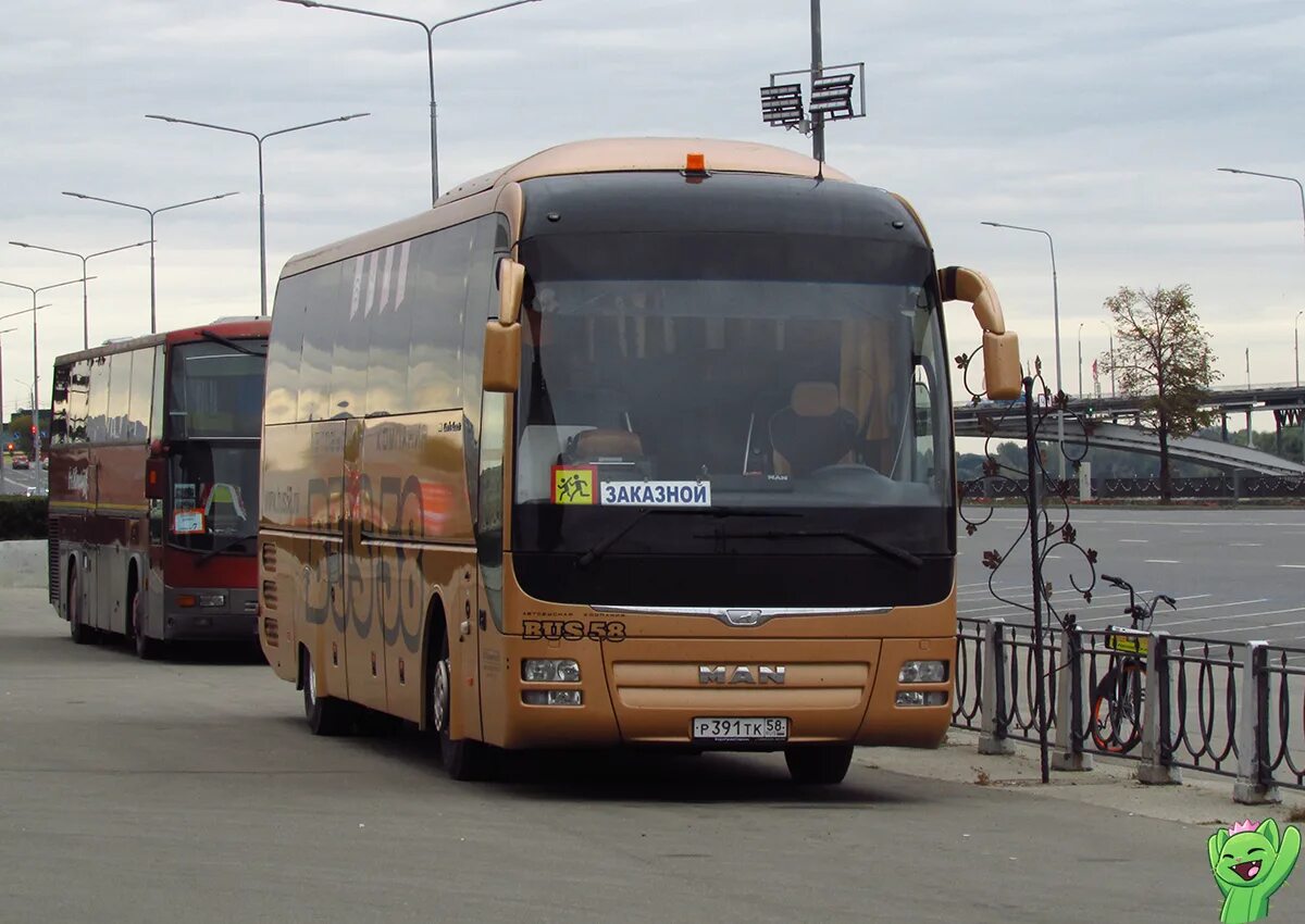 391 тк. Man Lion's coach r07 (rhc444). Man r07 Lion's rhc464. Автобус. Ман Лион автобус.