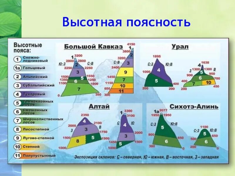 Природные зоны России Высотная поясность. Природные зоны ВЫСОТНОЙ поясности. Высотная поясность? Природные пояса. Высотная поясность (умеренные широты).